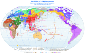 World Map of Y-Chromosome Haplogroups - Dominant Haplogroups in Pre-Colonial Populations with Possible Migrations Route