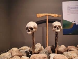 Reconstruction of the Kanalfjorden site with the skulls placed on poles, on display at the Motala Museum, Charlottenborg