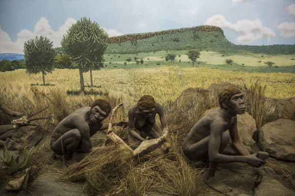 A diorama at the Nairobi National Museum portrays early hominids processing game with tools.
