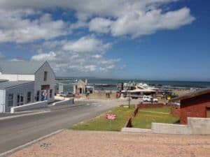 Gans Baai, South Africa, White Shark Projects
